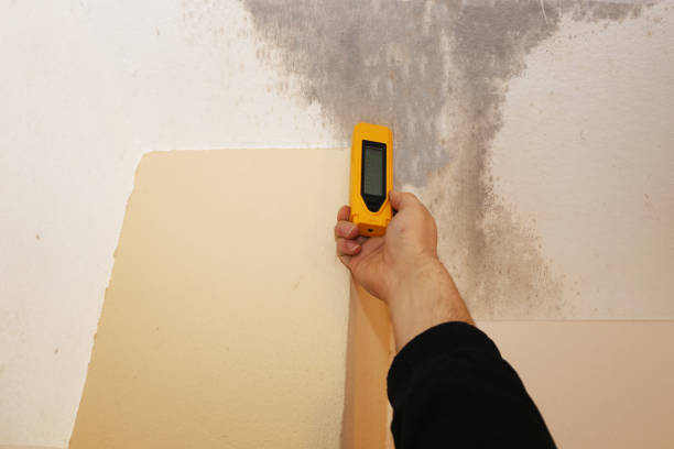Best Indoor Air Quality Assessment  in Richmond, MI