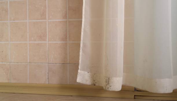 Mold Remediation for Rental Properties in Richmond, MI