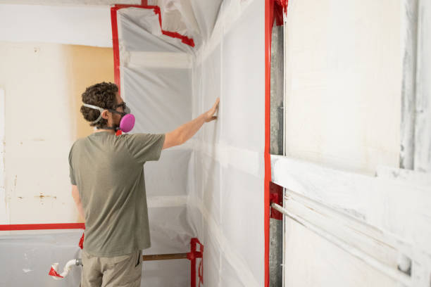 Asbestos and Lead Testing During Mold Inspection in Richmond, MI