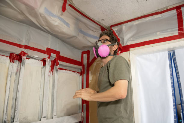 Mold Documentation for Insurance Claims in Richmond, MI