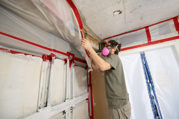 Best Environmental Consulting for Mold Prevention  in Richmond, MI