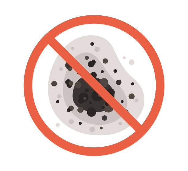 Best Biohazard Mold Removal  in Richmond, MI