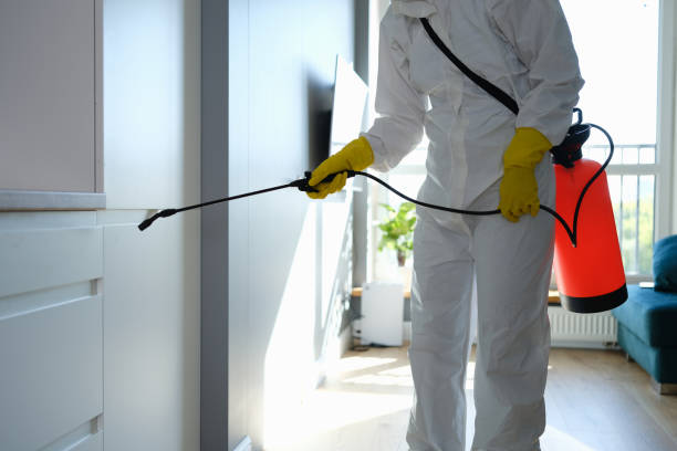 Best Post-Remediation Verification Testing  in Richmond, MI