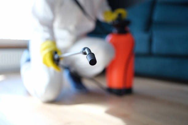 Best Comprehensive Air Testing for Mold Contaminants  in Richmond, MI