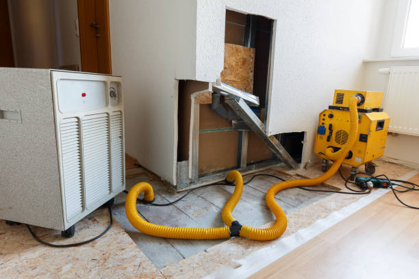 Best Mold Documentation for Insurance Claims  in Richmond, MI