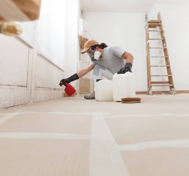 Best Water Damage & Mold Remediation  in Richmond, MI