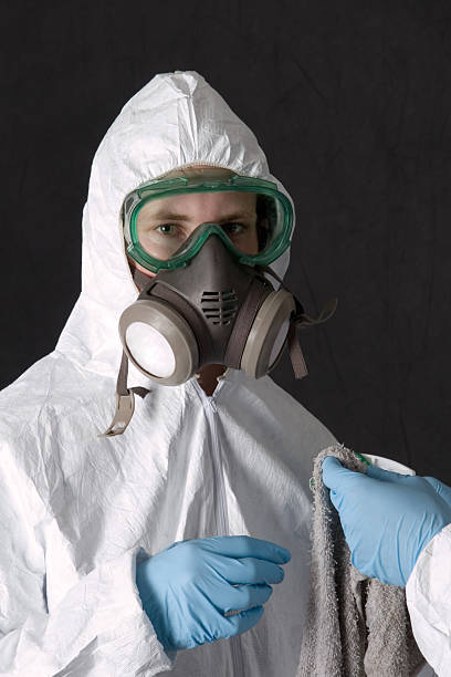Best Post-Construction Mold Inspection  in Richmond, MI